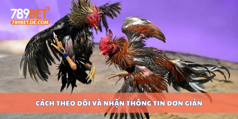 Cách theo dõi và nhận thông tin đơn giản