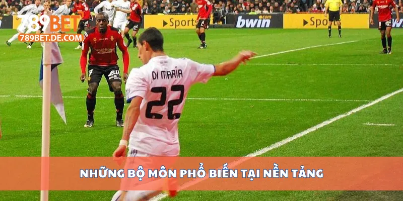 Những bộ môn phổ biến tại nền tảng