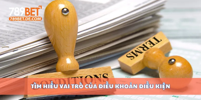 Tìm hiểu vai trò của điều khoản điều kiện